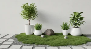 Minimal pots creating clean outdoor space