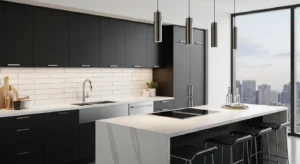 Black and white kitchen creating a striking contrast