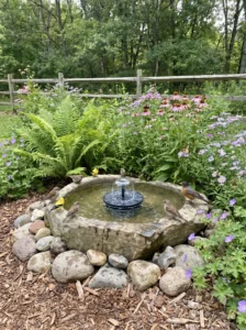 "Ground-level solar fountain bird bath in a wildlife garden."