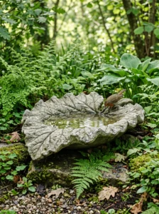 Concrete leaf bird bath surrounded by lush greenery.