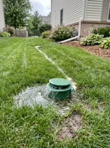 "Pop-up drain emitter releasing water from an underground drainage system."